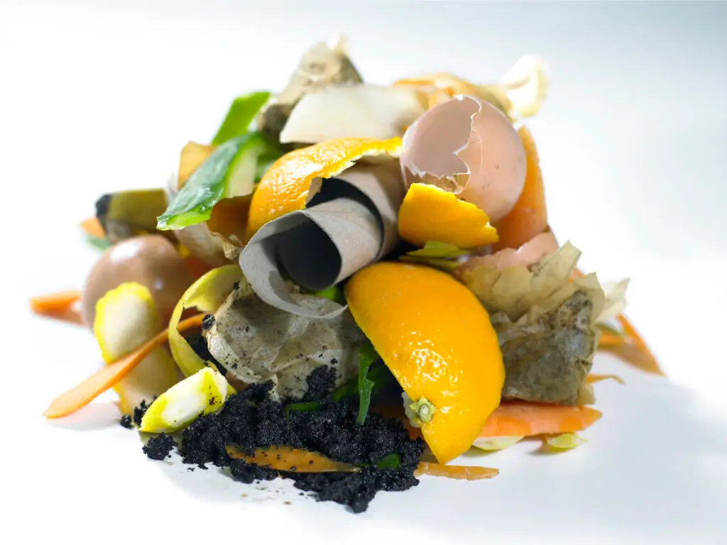 Bokashi Composting: The Ultimate Guide to Indoor Composting at Home