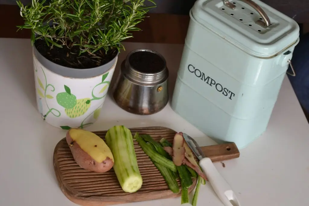 A Complete Guide to Composting: Turning Food Scraps into Garden Gold